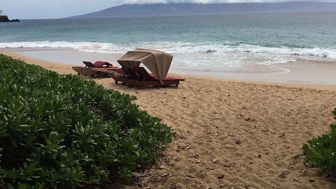 Photo of Others in Kaanapali