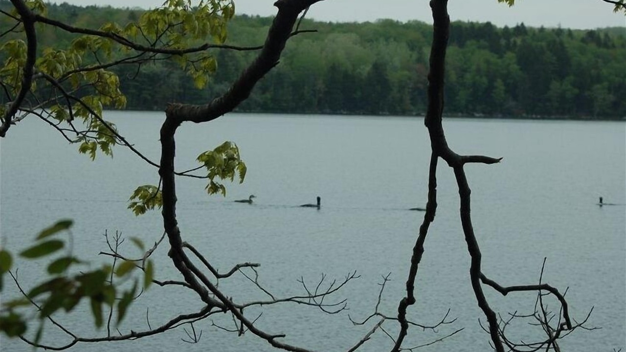Photo of Others in Brooksville