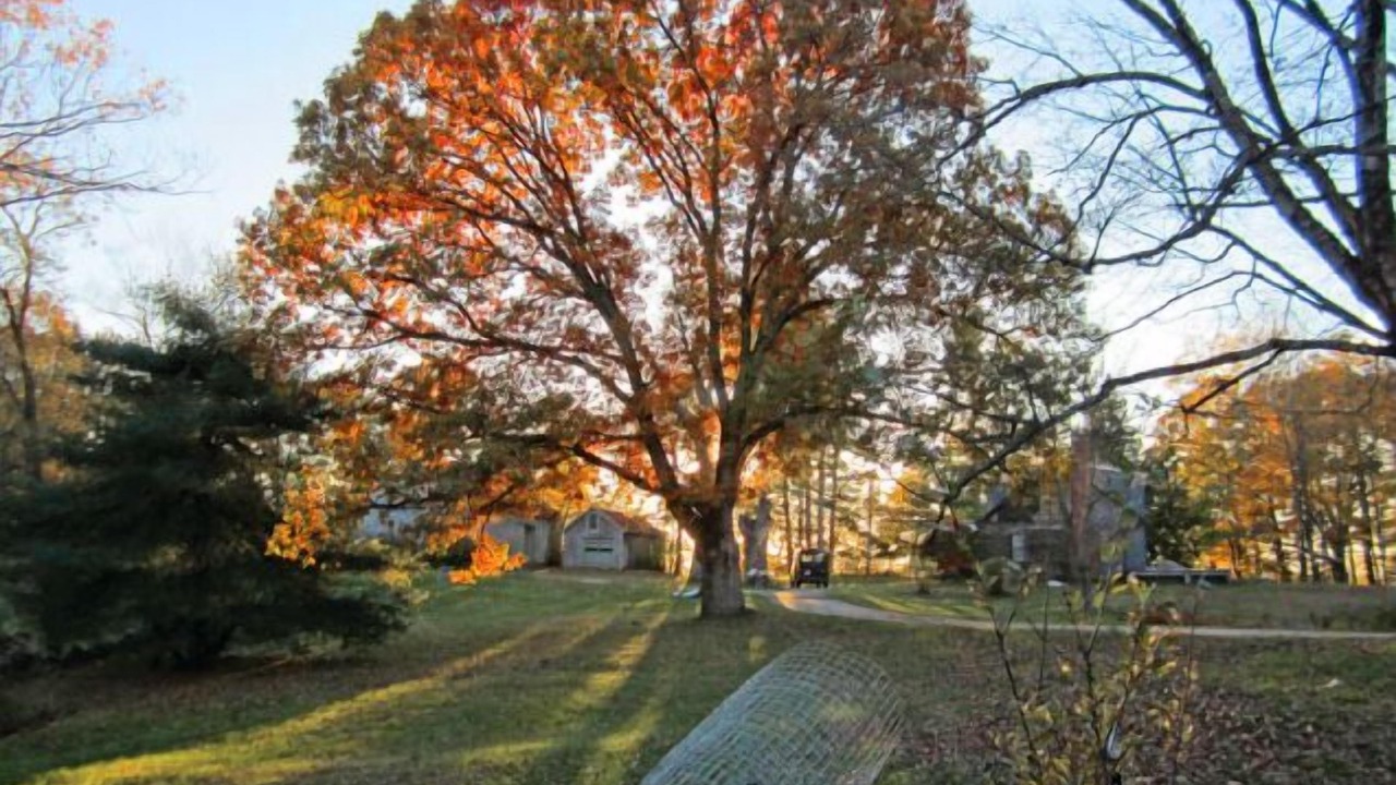 Photo of Outdoor in Wayne