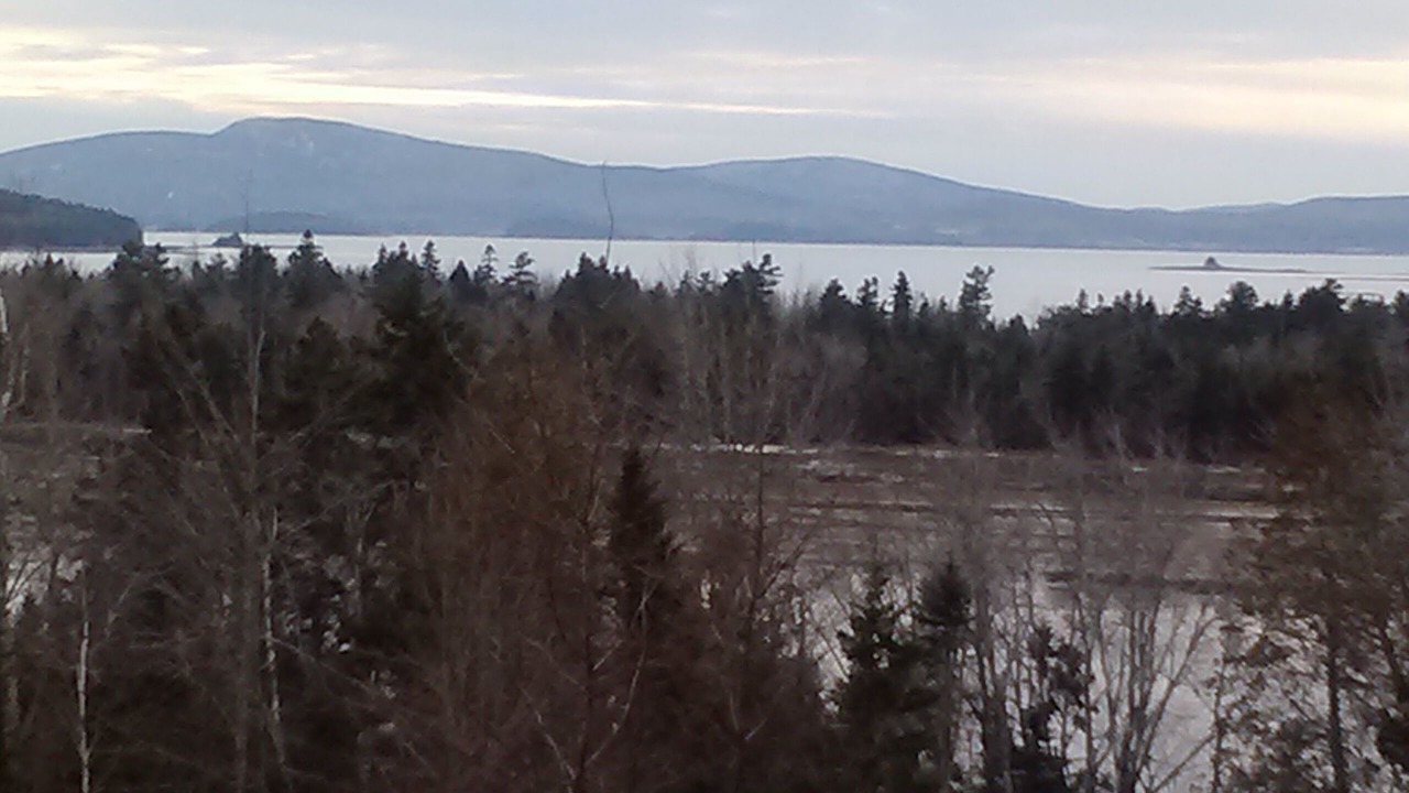 Photo of Others in Gouldsboro