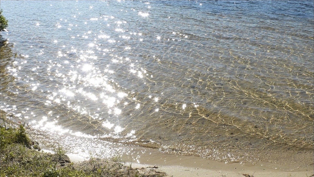 Photo of Others in Denmark