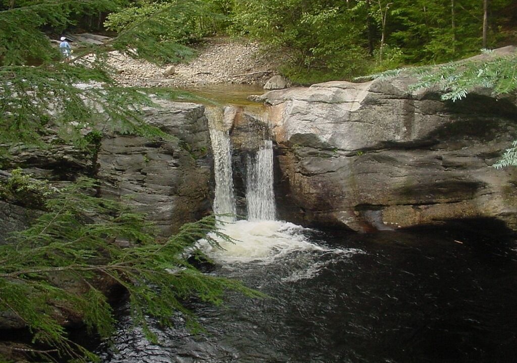 Photo of Others in Bryant Pond