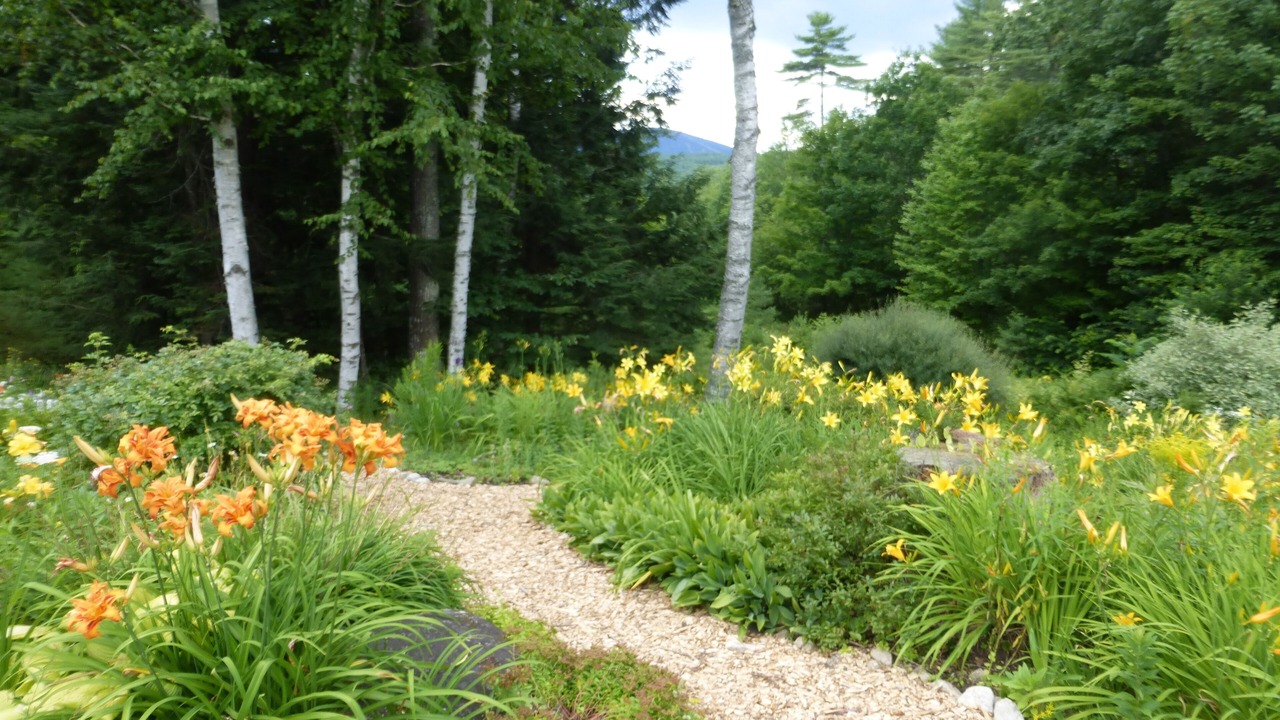 Photo of Outdoor in Bridgton
