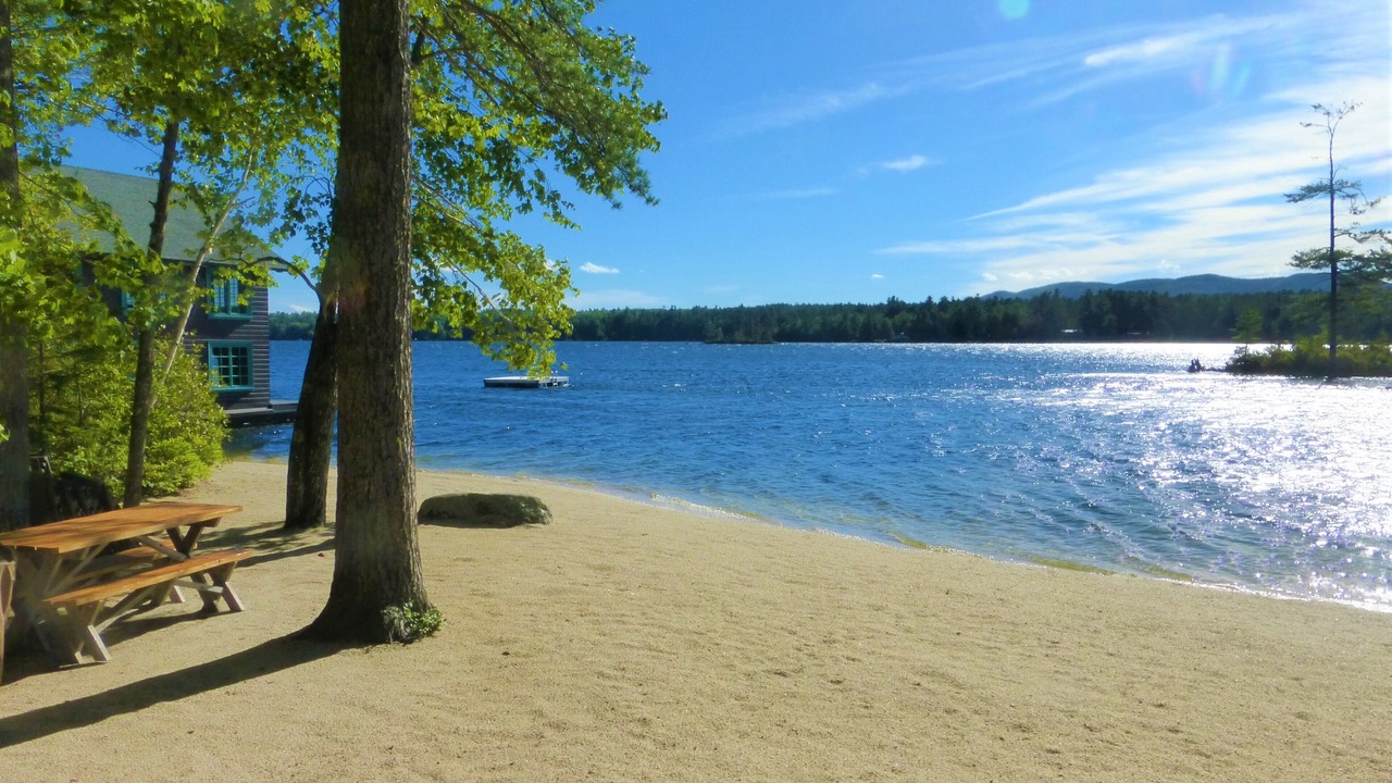 Photo of Others in Bridgton