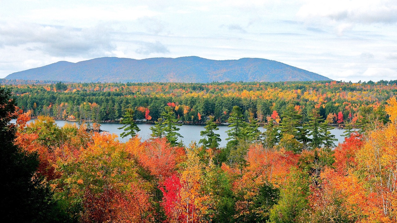 Photo of Others in Bridgton