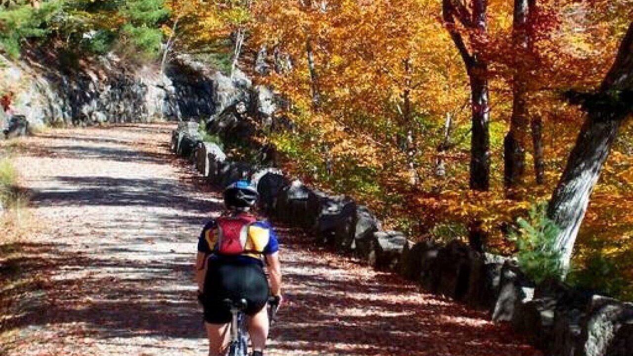 Photo of Outdoor in Mount Desert