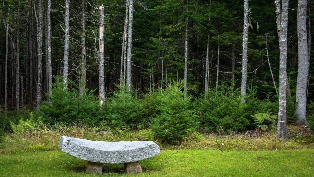 Photo of Others in Mount Desert