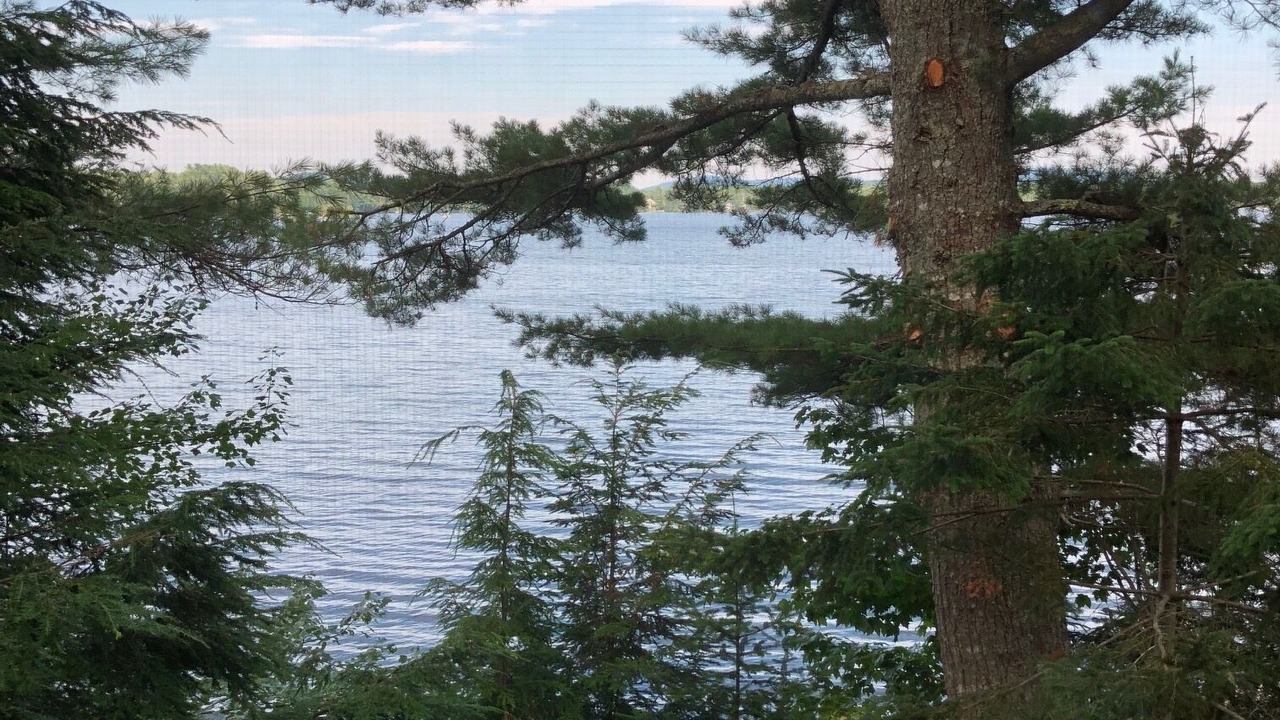 Photo of Outdoor in Franklin