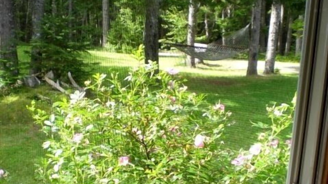 Photo of Others in Brooksville