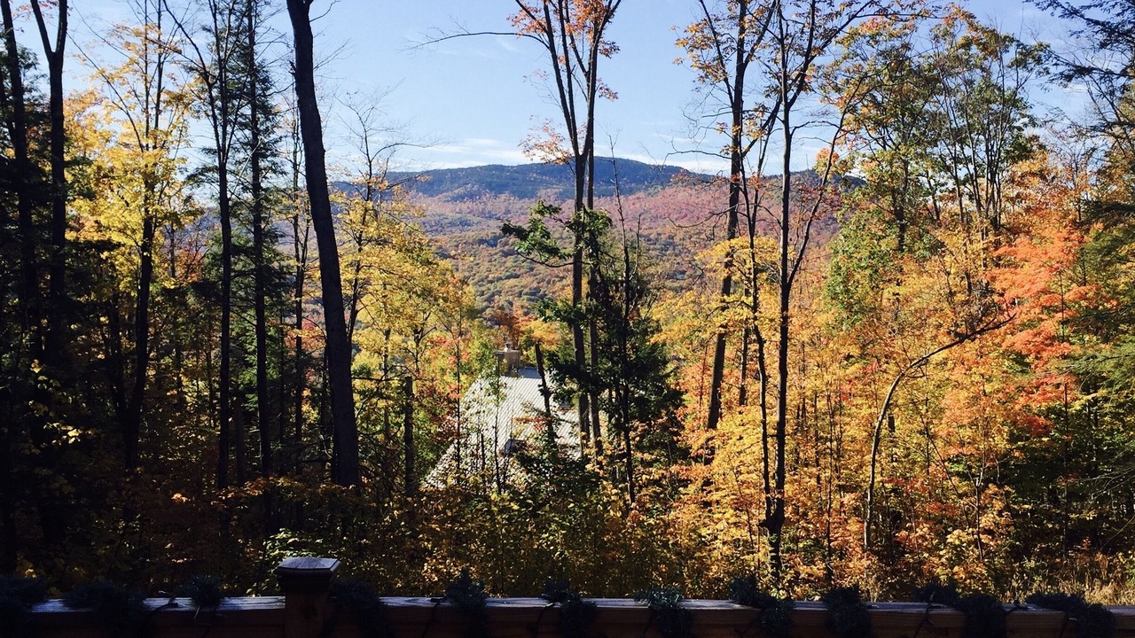 Photo of Outdoor in Jackson