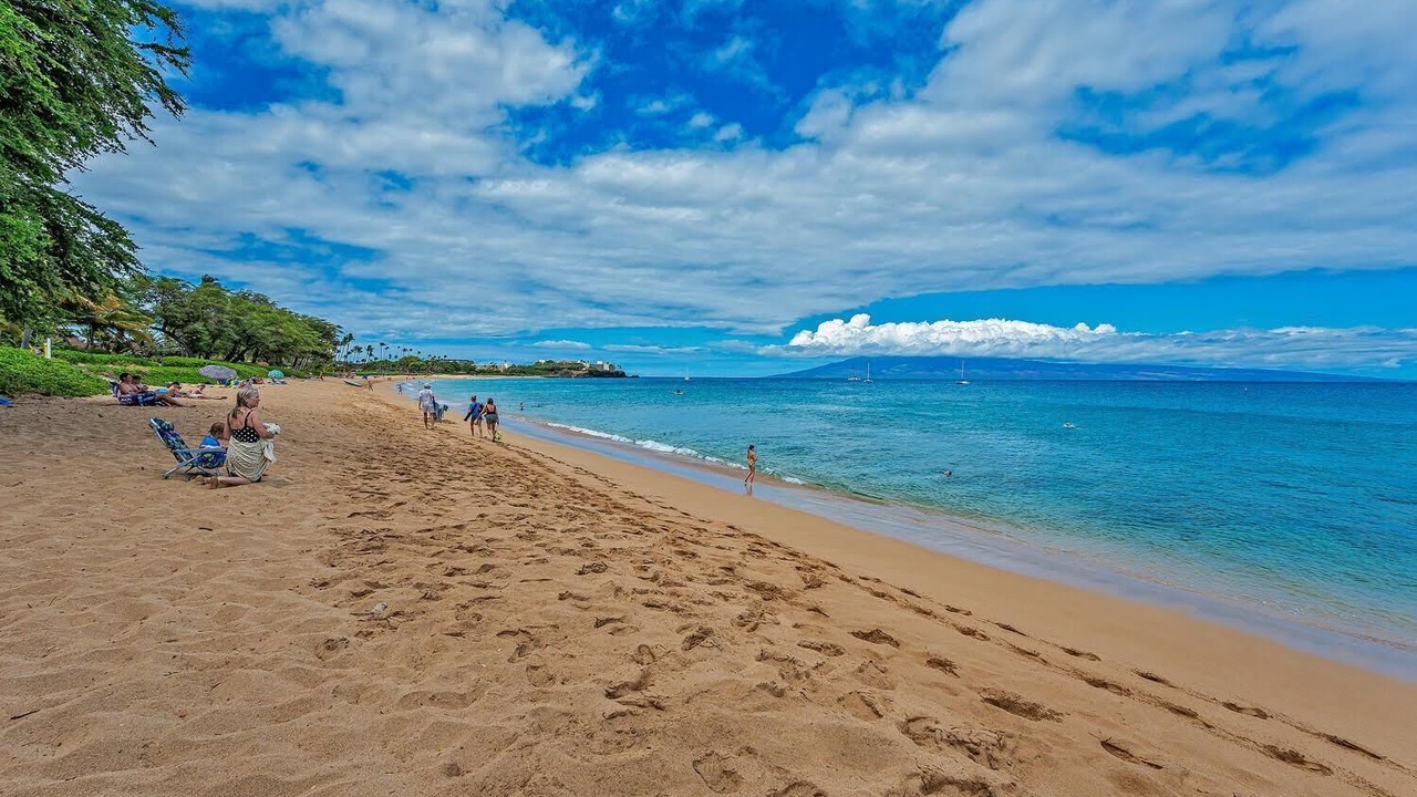Photo of Others in Kaanapali