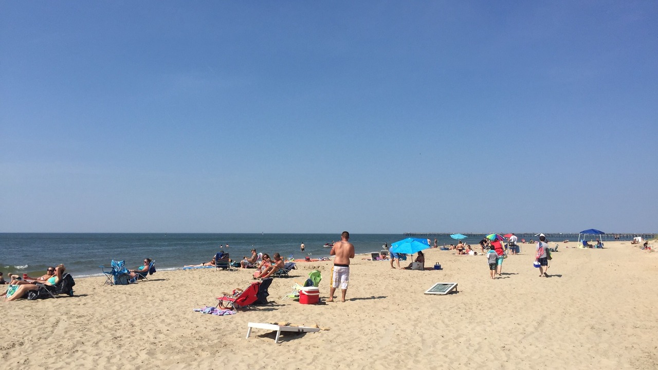 Photo of Others in Northeast Virginia Beach