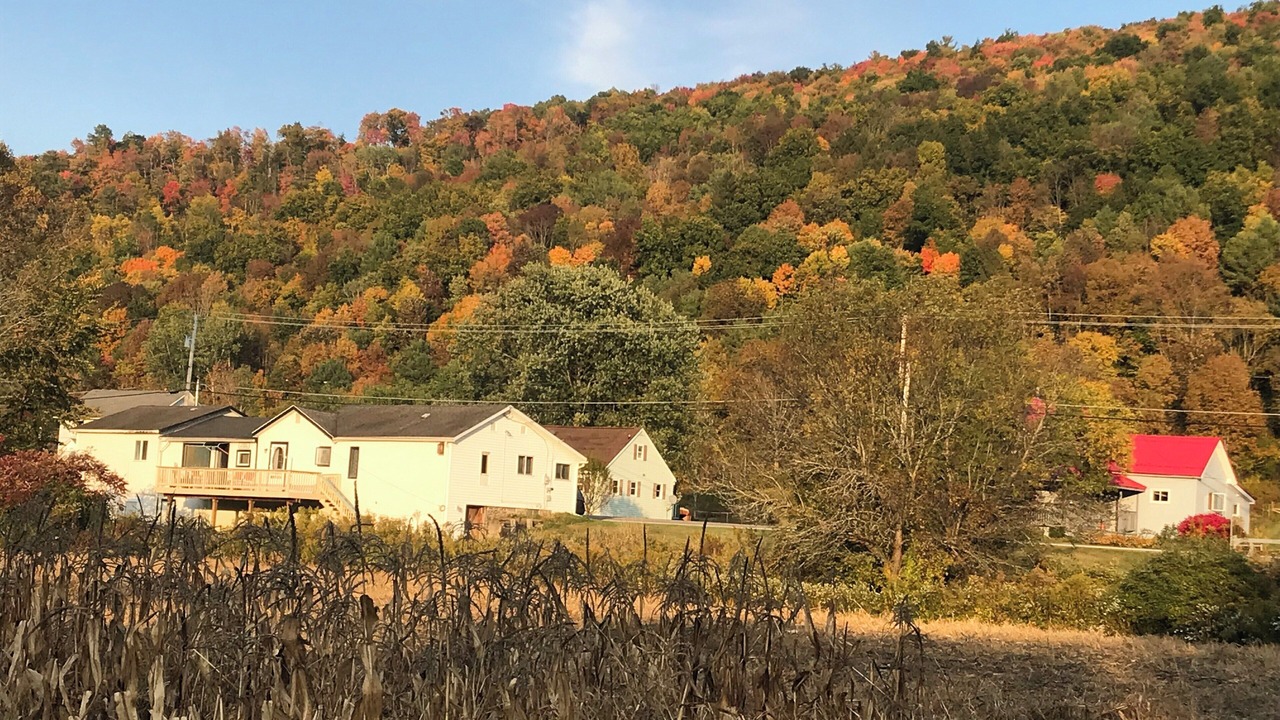 Photo of Others in Great Valley