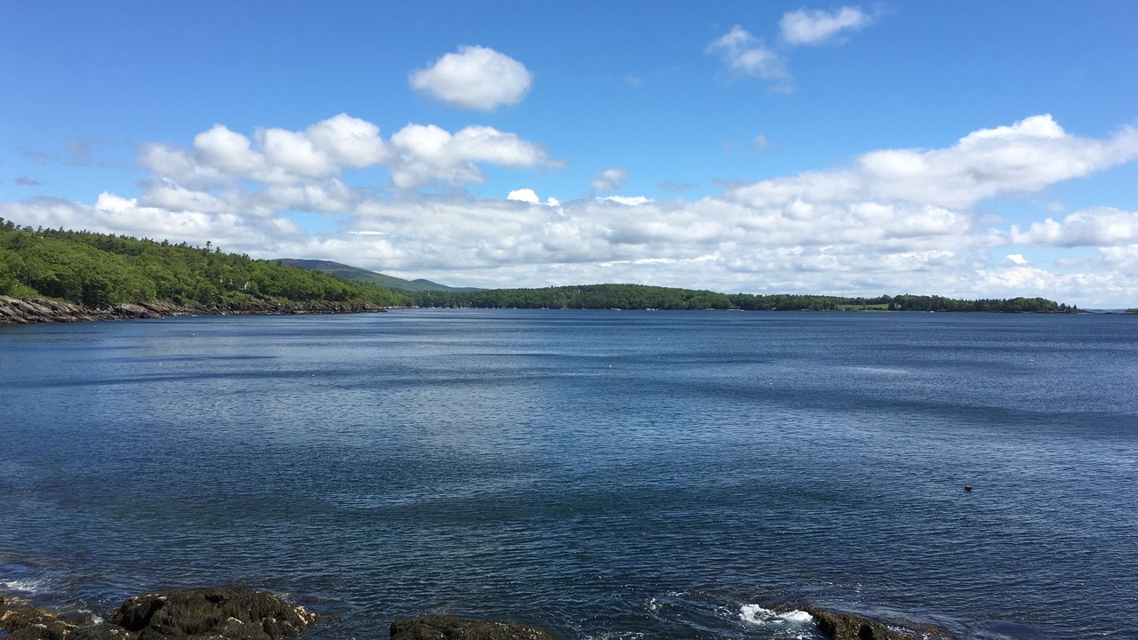 Photo of Others in Rockport