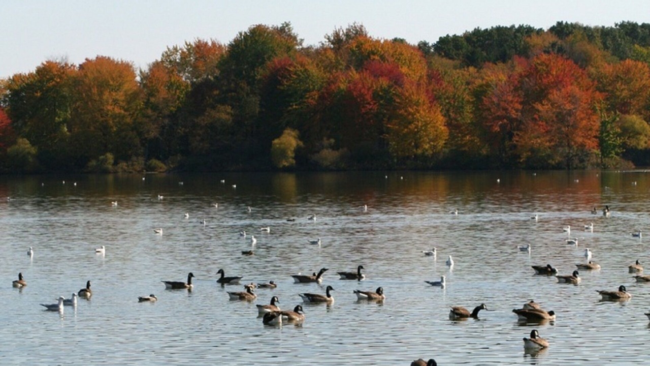 Photo of Outdoor in Pymatuning Central