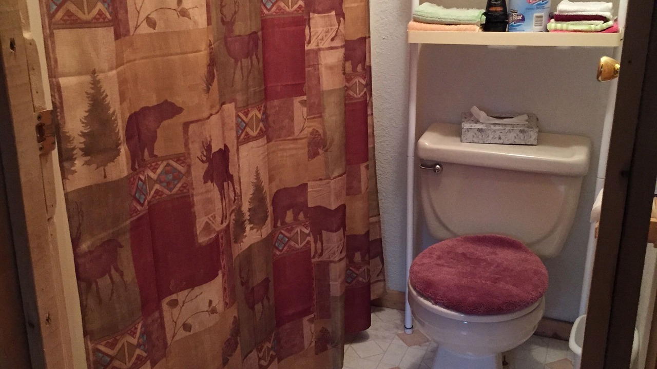 Photo of Bathroom in Cohoe