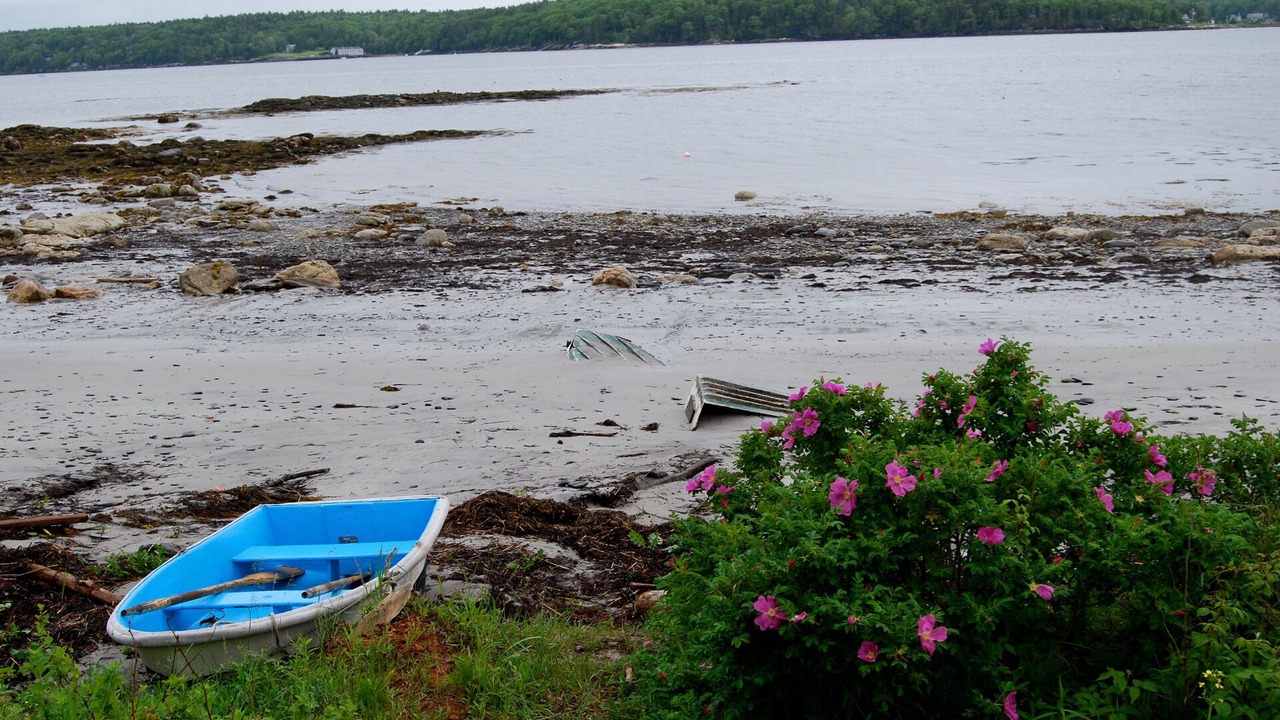 Photo of Outdoor in Isle of Springs