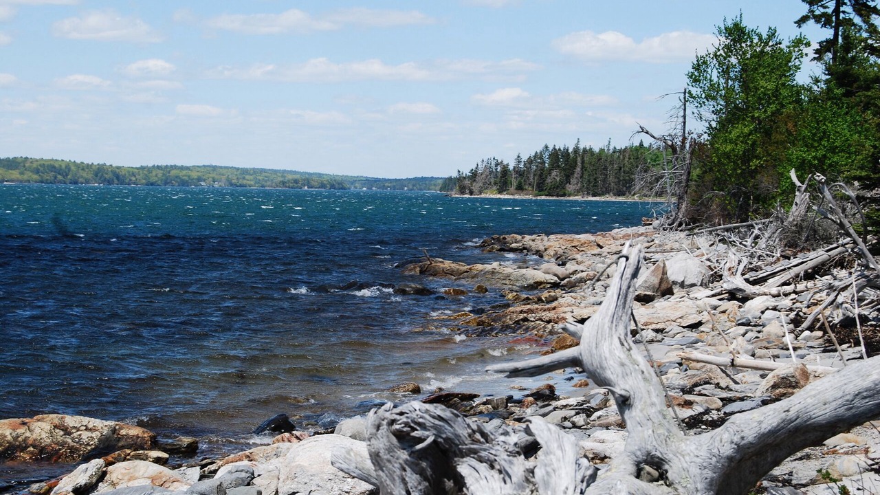 Photo of Others in Isle of Springs