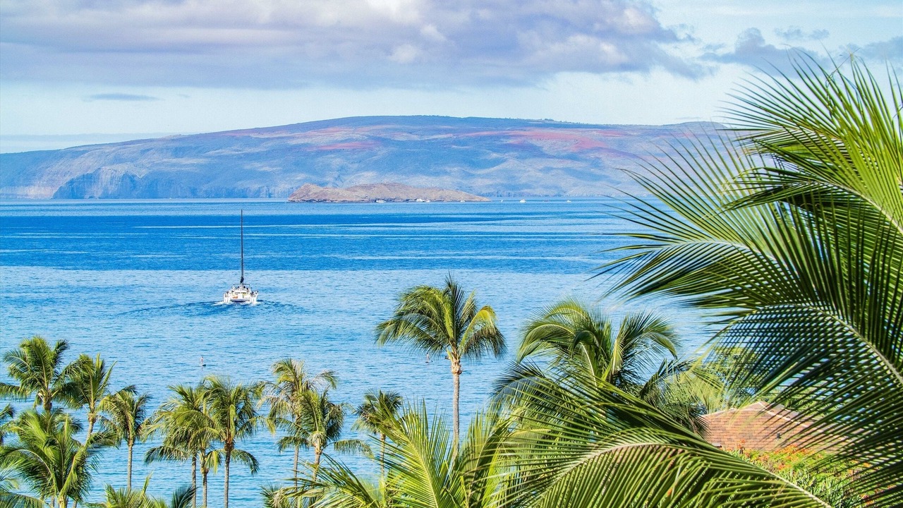 Photo of Others in Wailea