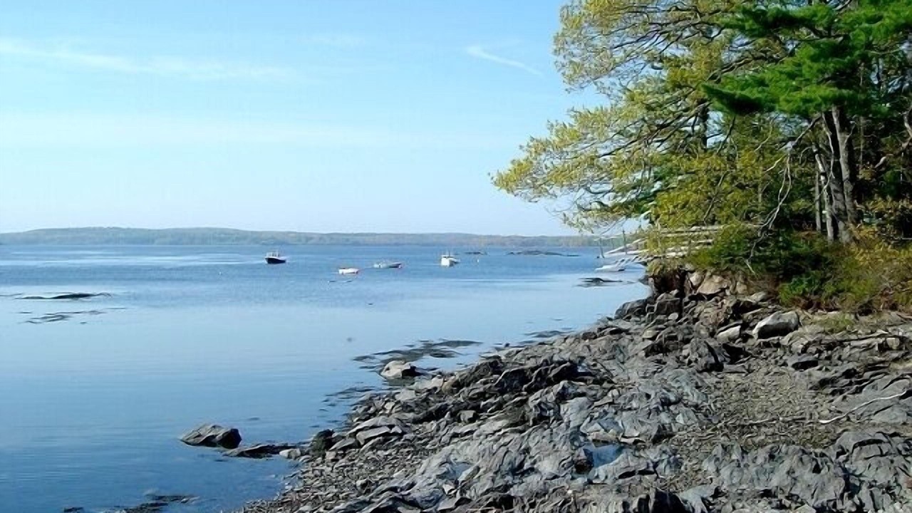 Photo of Others in Waldoboro