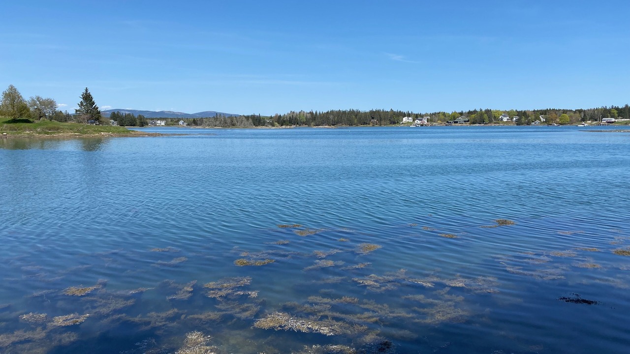 Photo of Outdoor in Bernard