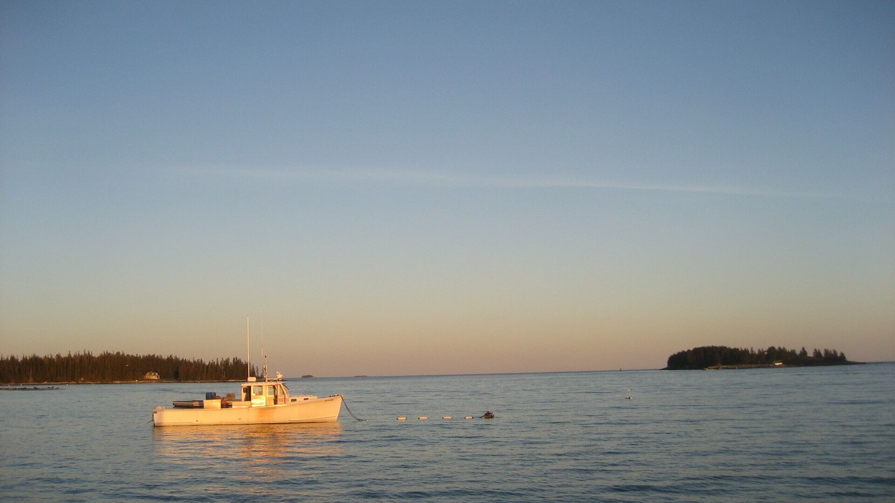 Photo of Others in Tenants Harbor