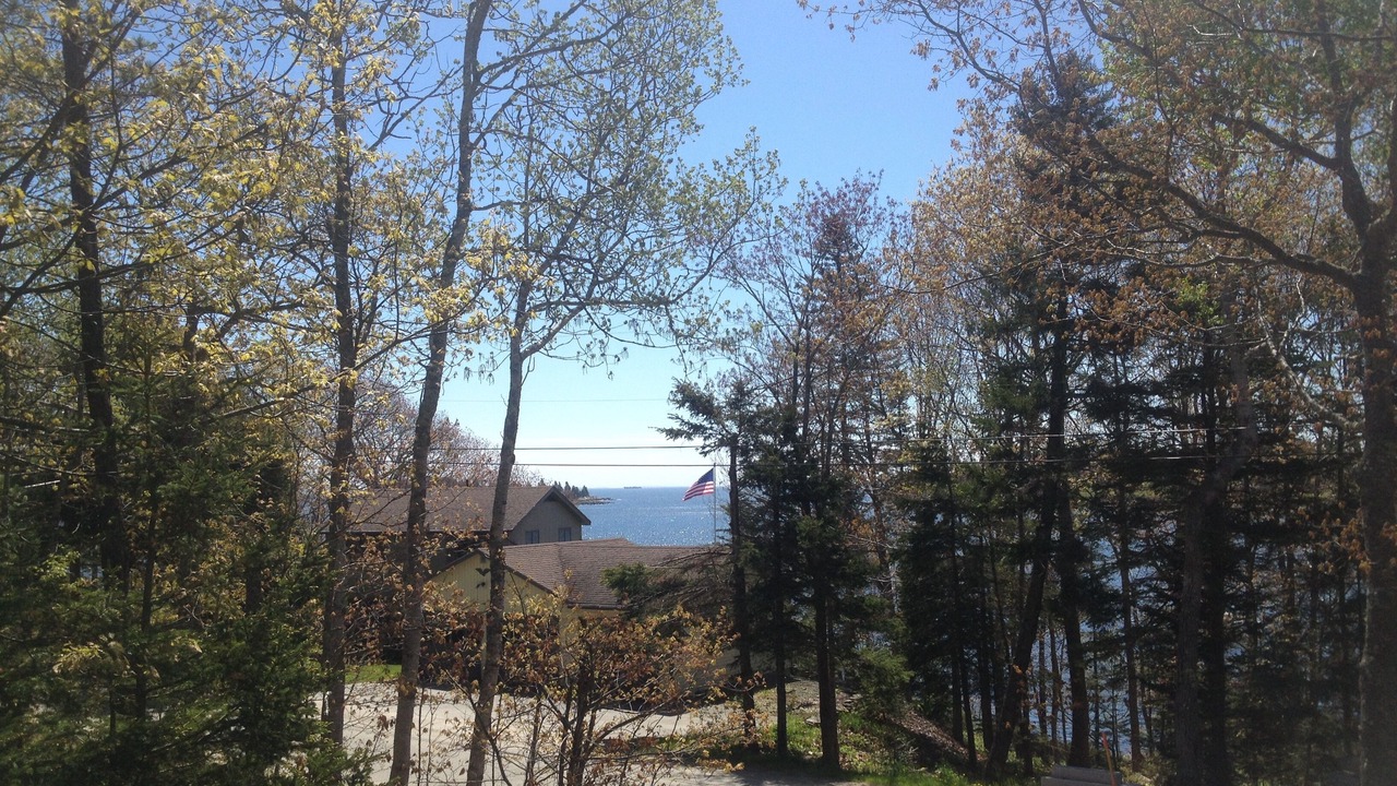 Photo of Outdoor in Tenants Harbor