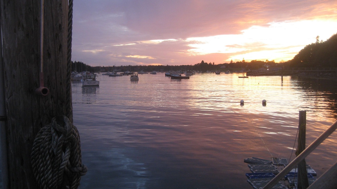 Photo of Others in Tenants Harbor