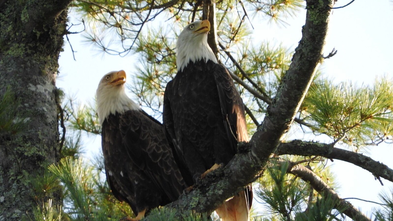Photo of Outdoor in Trenton