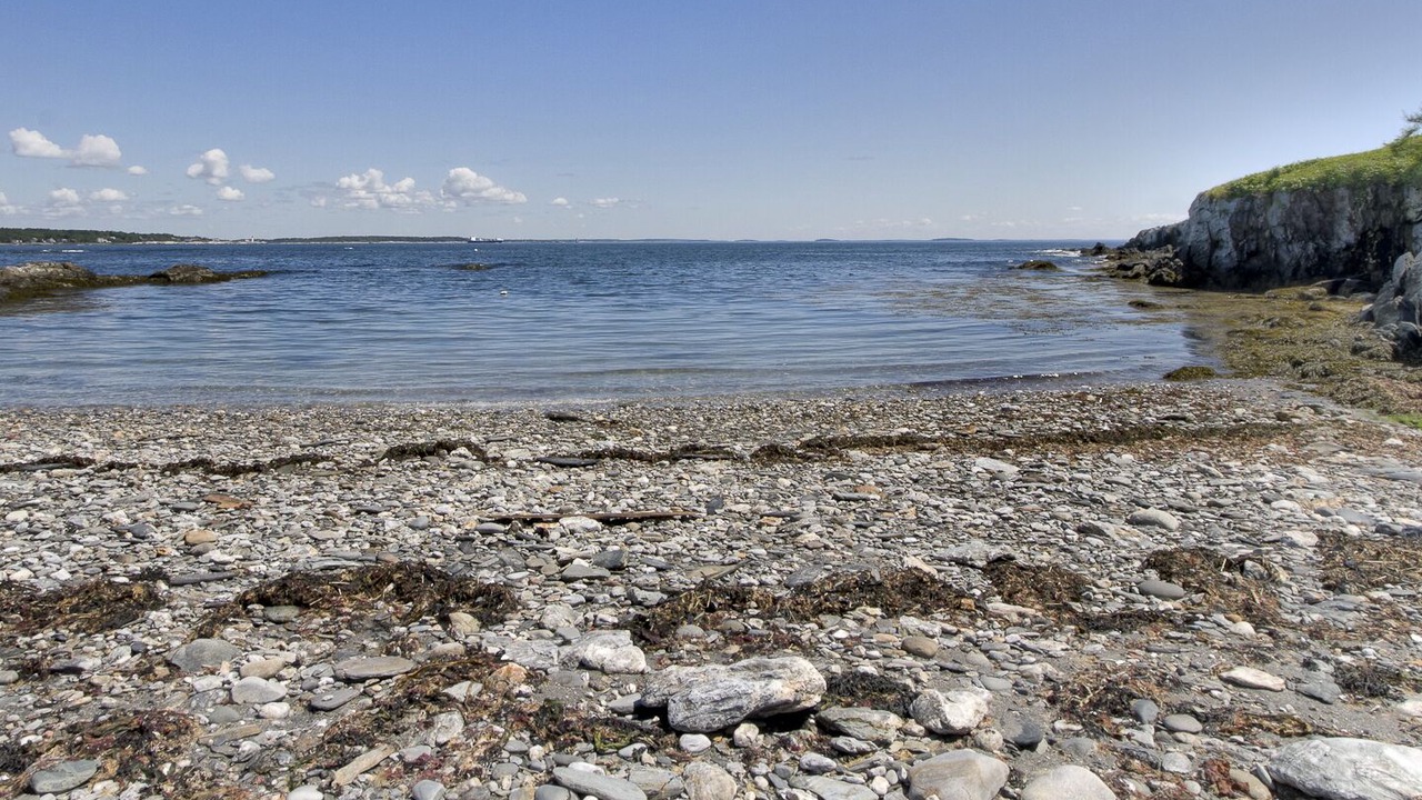 Photo of Others in Pond Cove