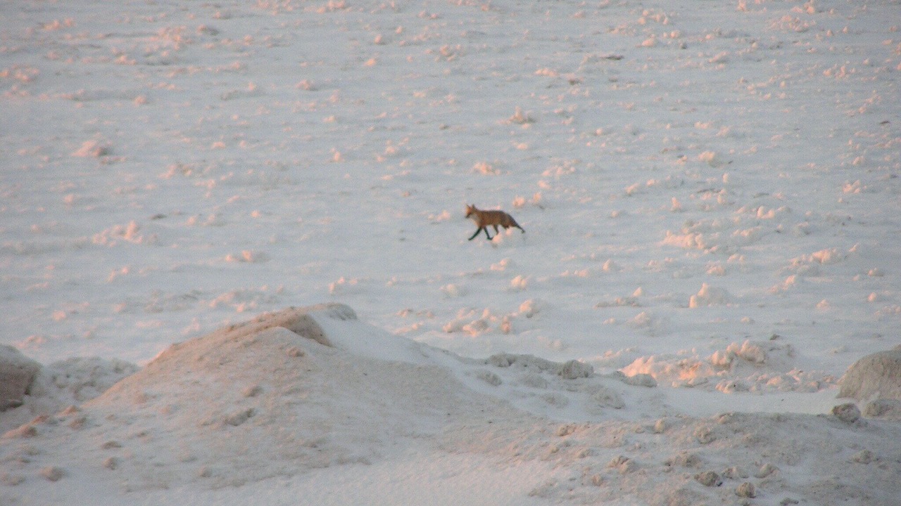 Photo of Outdoor in North East