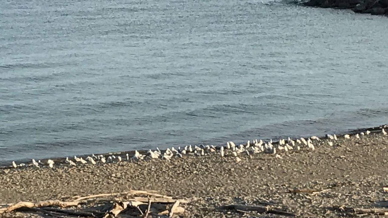 Photo of Others in North East