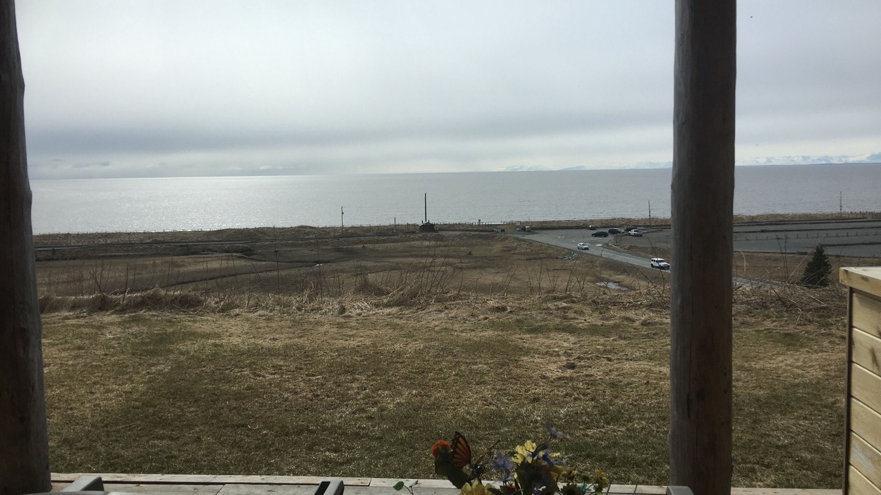 Photo of Others in Kenai