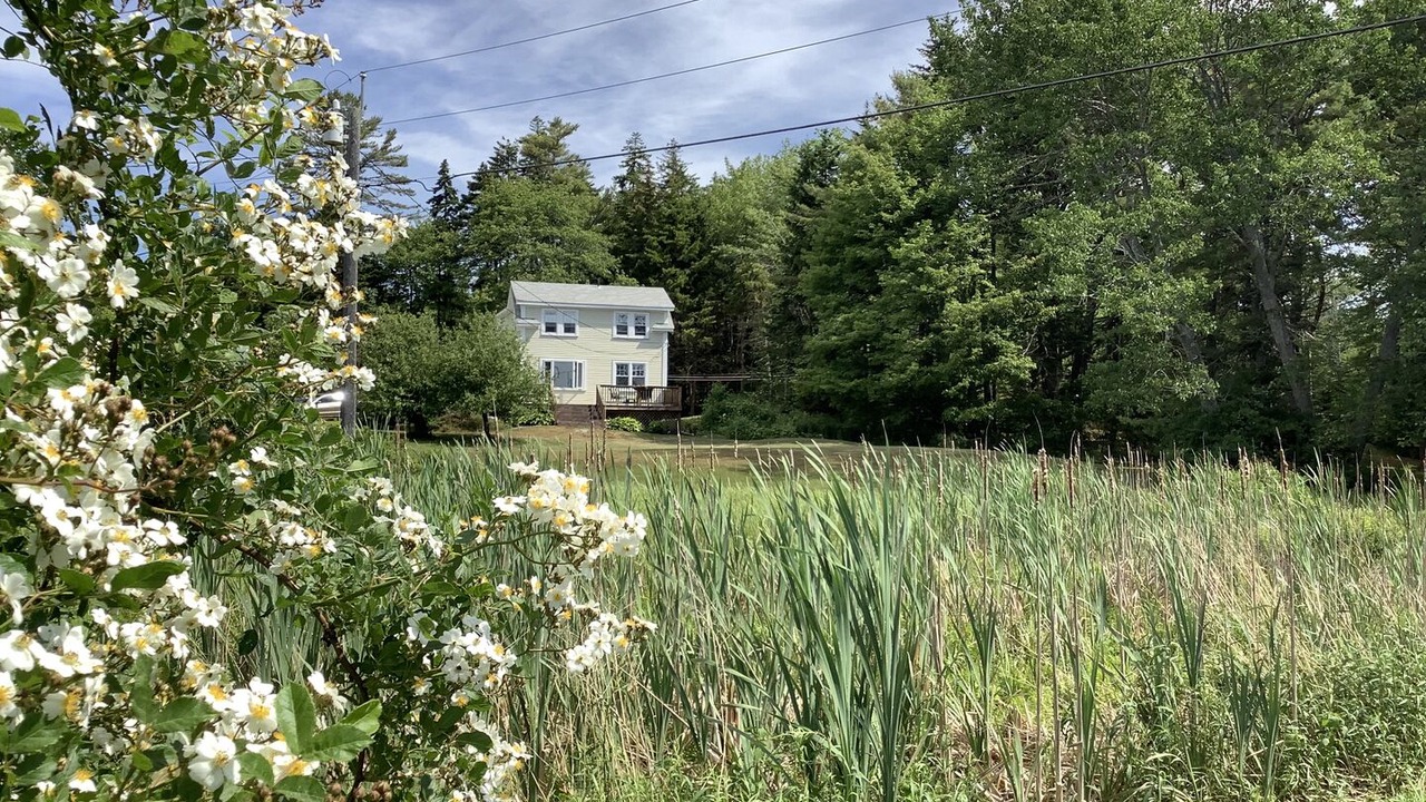 Photo of Outdoor in Sebasco Estates