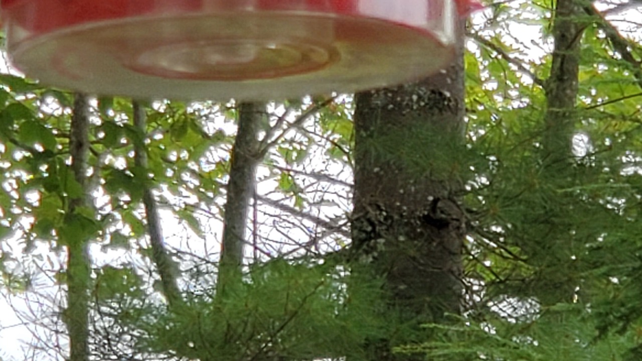 Photo of Outdoor in Harrison
