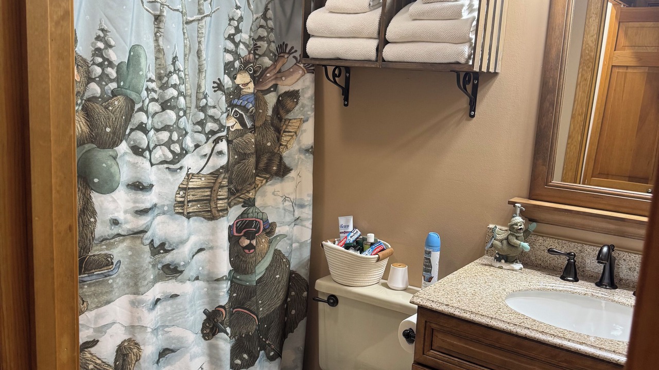 Photo of Bathroom in Center Conway