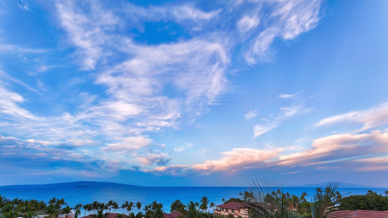 Photo of Others in Wailea