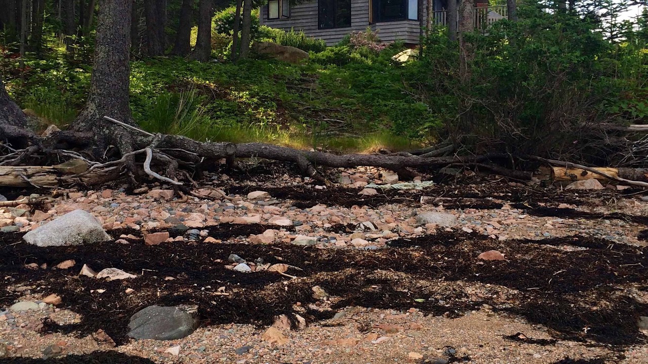 Photo of Others in South Gouldsboro