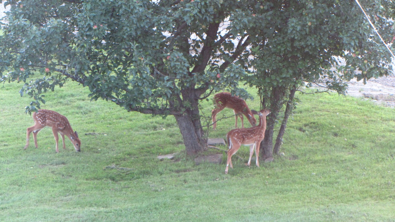 Photo of Others in Upton