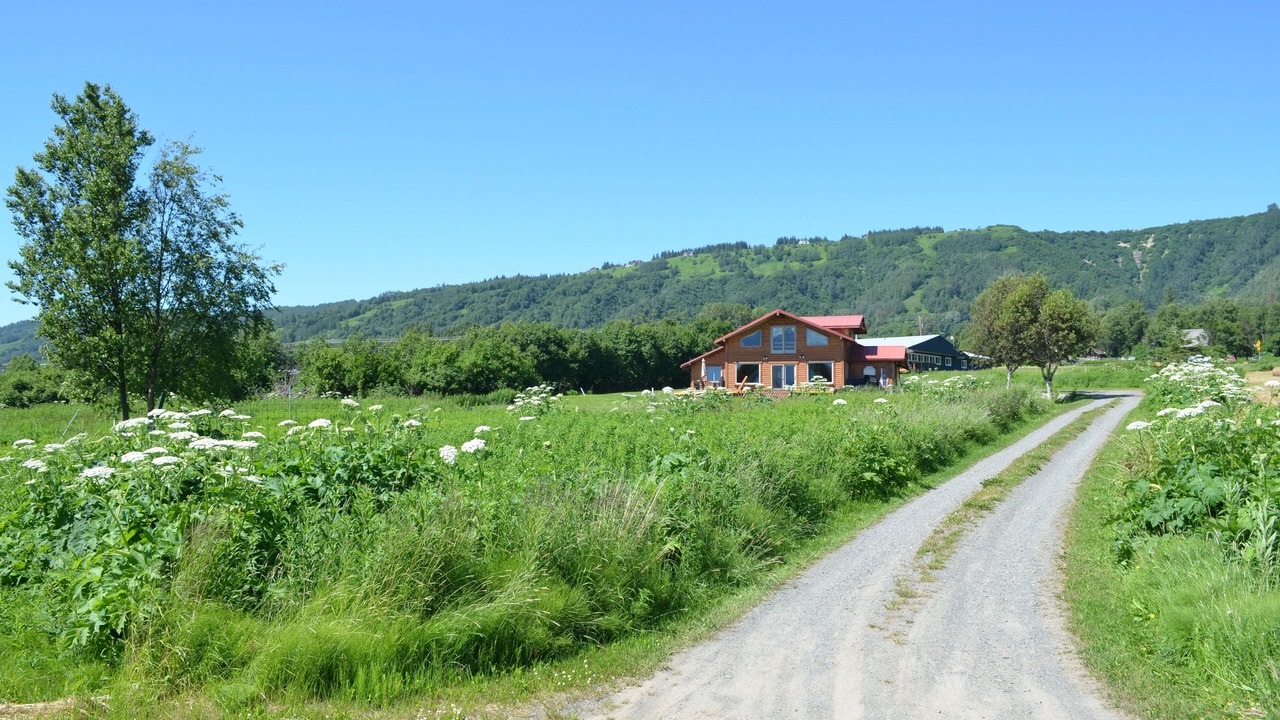 Photo of Outdoor in Kachemak