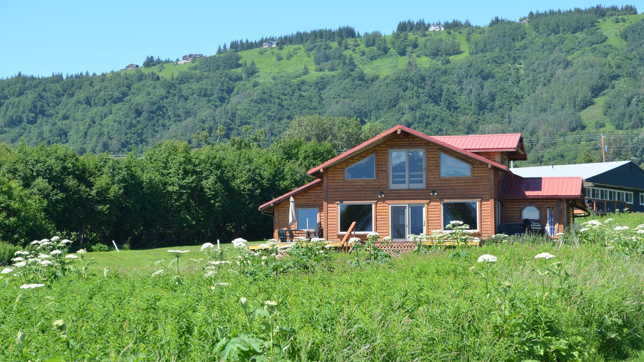 Photo of Others in Kachemak