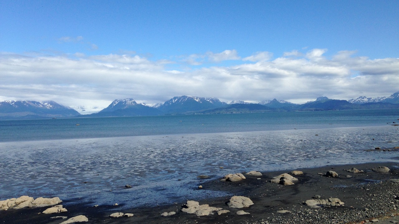 Photo of Others in Homer