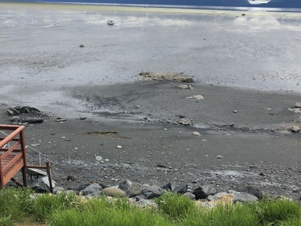 Photo of Others in Homer