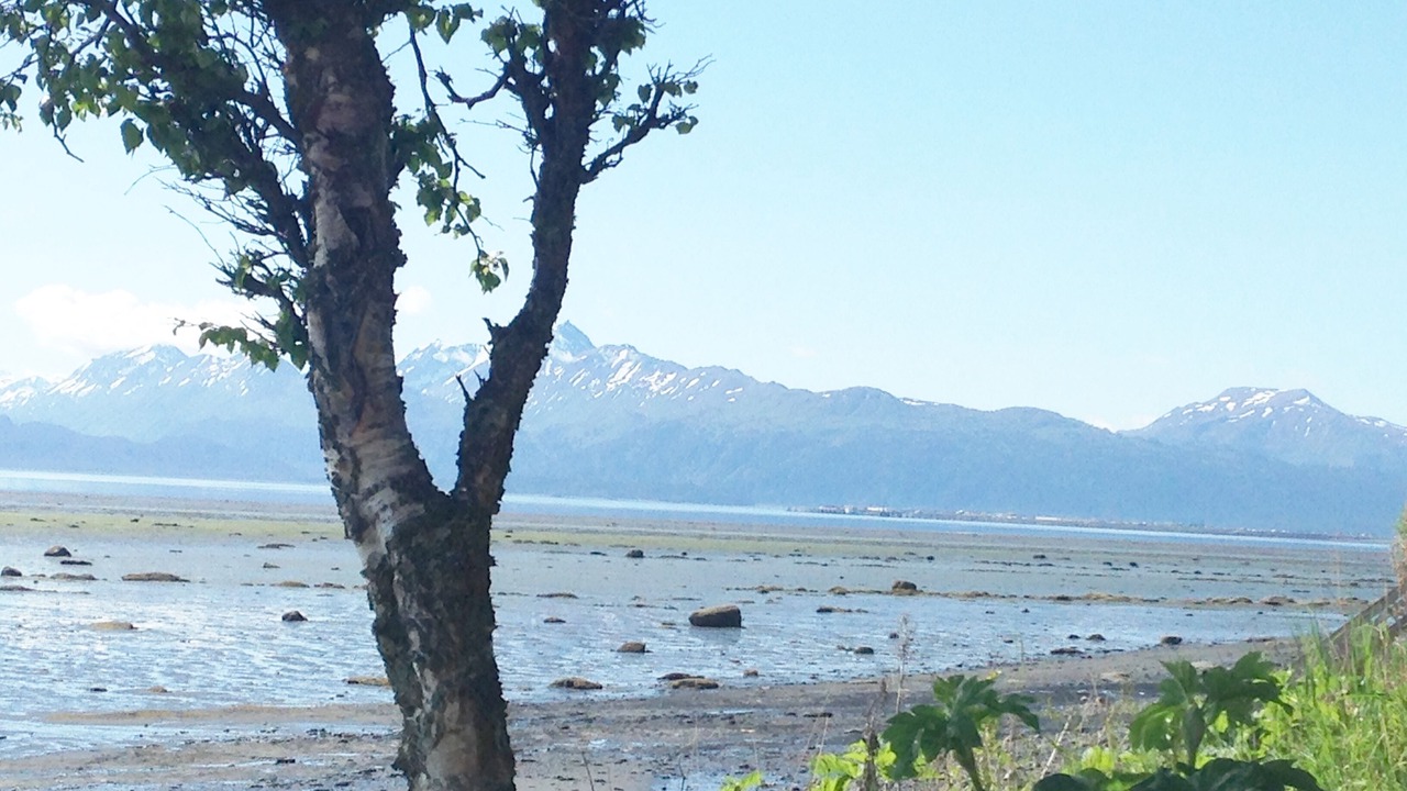 Photo of Others in Homer
