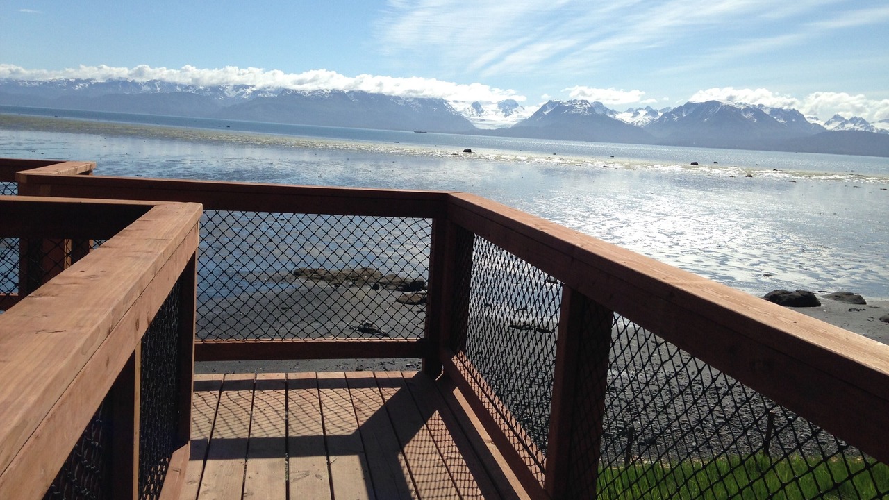 Photo of Others in Homer