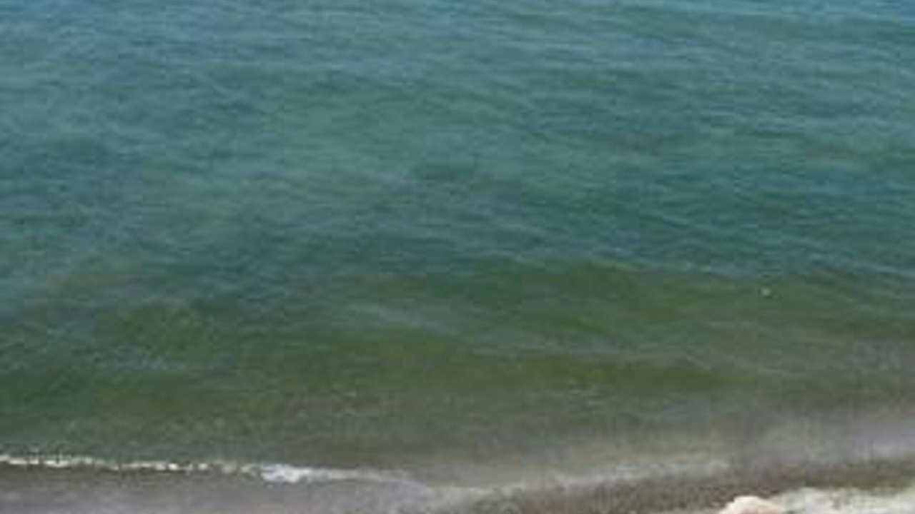 Photo of Others in Olcott