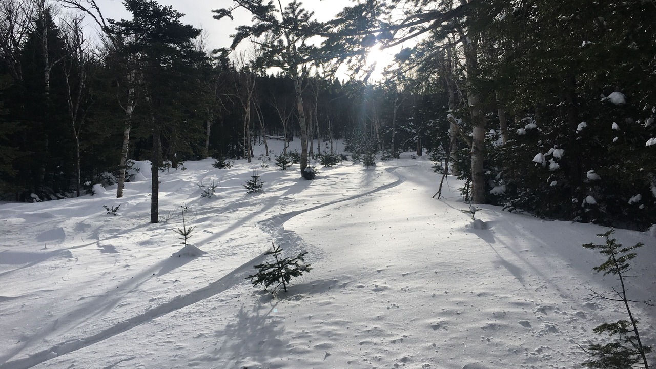 Photo of Others in Carrabassett Valley