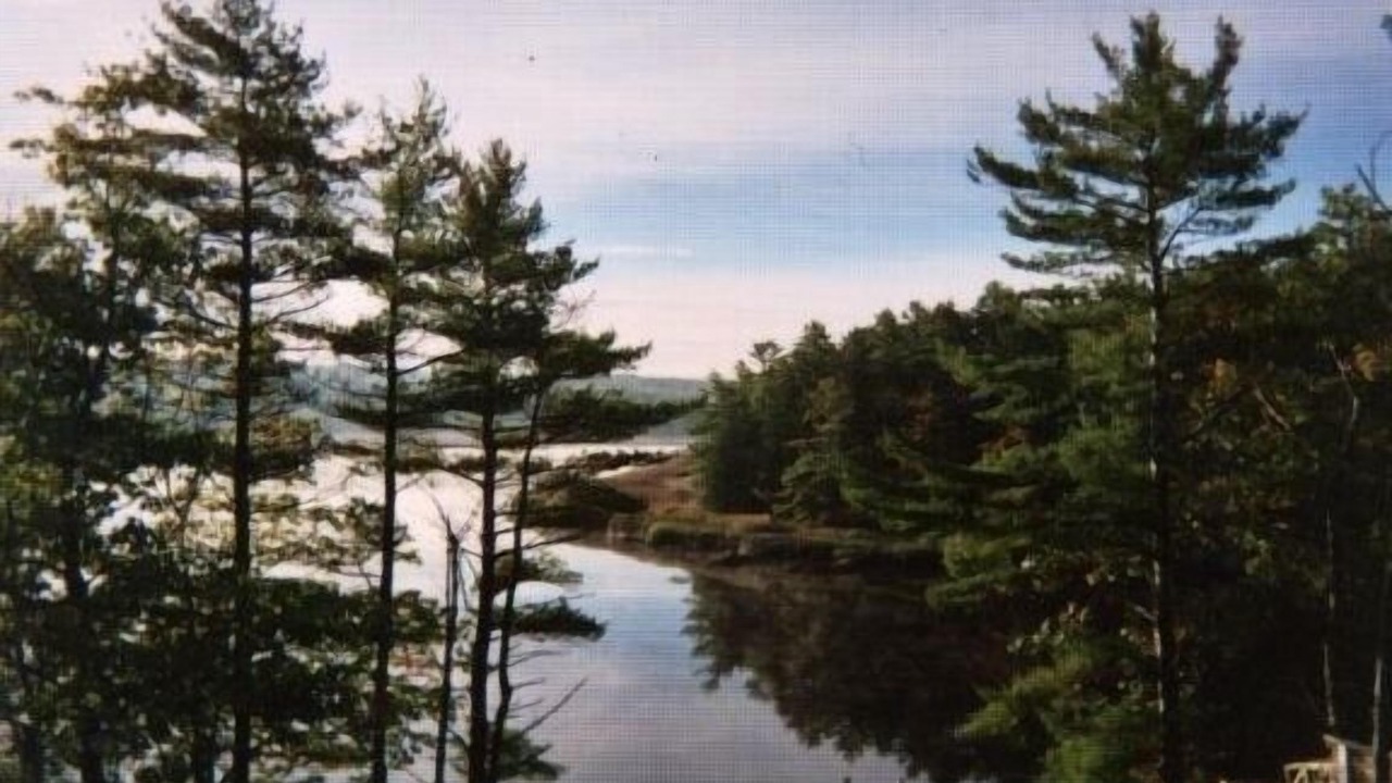 Photo of Others in Arrowsic