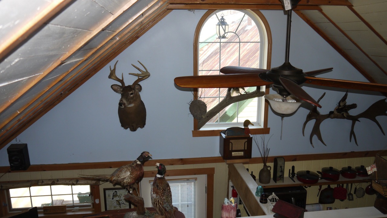 Photo of Others in North Conway
