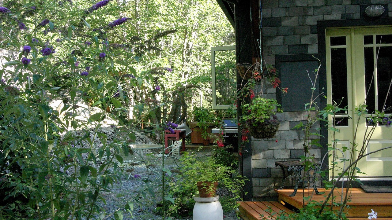 Photo of Outdoor in Bernard